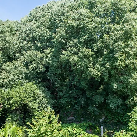 Porto Vivo Bed & Breakfast Trieste