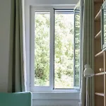 Porto Vivo