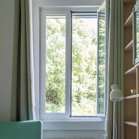 Porto Vivo