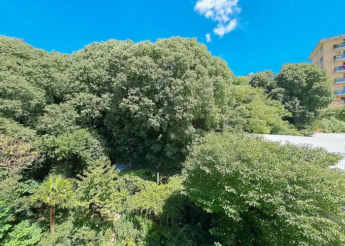 Alojamento de Acomodação e Pequeno-almoço Porto Vivo Trieste