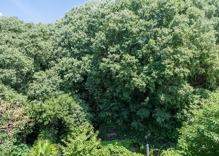 Porto Vivo Bed and breakfast Trieste